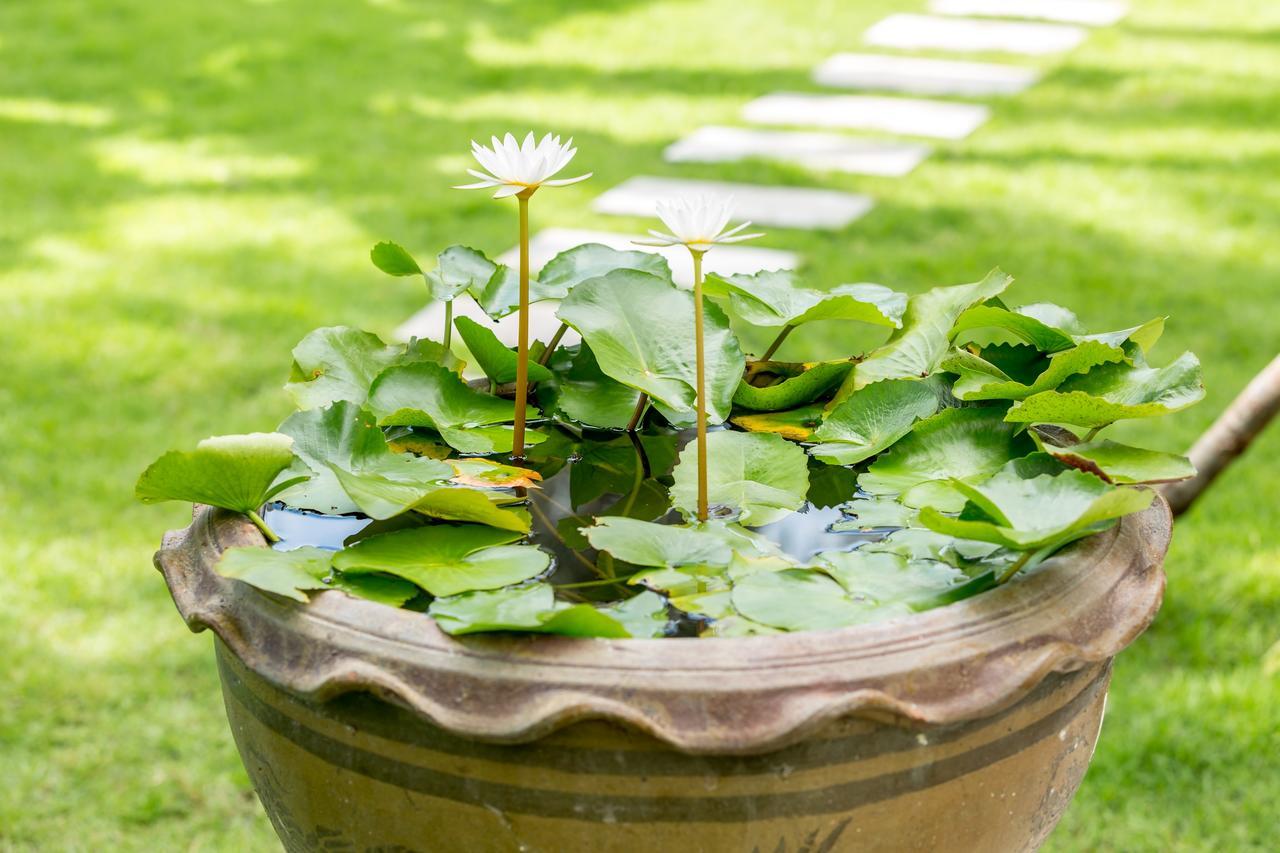 Baan Suaan Serenity Laem Sor Exteriér fotografie